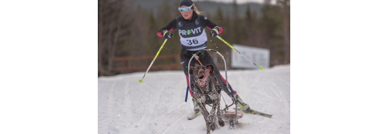 Arrangørmøte Nordisk stil